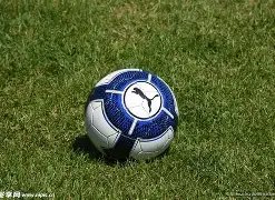 年度电子竞,技最佳选手,花落,开云体育,开云体育官网,开云体育app,开云体育平台,KAIYUN,SPORTS,kaiyun登录入口