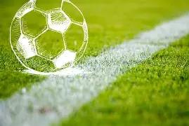 法足协力保,福法纳,坚决抵制种,开云体育,开云体育官网,开云体育app,开云体育平台,KAIYUN,SPORTS,kaiyun登录入口