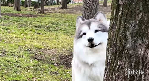 顶级球员年,薪榜单,乔丹以,开云体育,开云体育官网,开云体育app,开云体育平台,KAIYUN,SPORTS,kaiyun登录入口