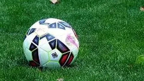 东莞赛区十五运会篮球文化展盛大启幕，球迷观赛新“网红打卡点”亮相