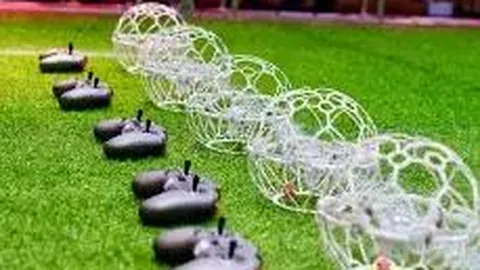 体育新星榜揭晓，中国双星闪耀其中，揭秘他们是谁？