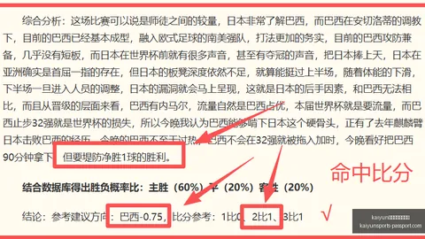 体育官网在线，开云娱乐，登录 135453